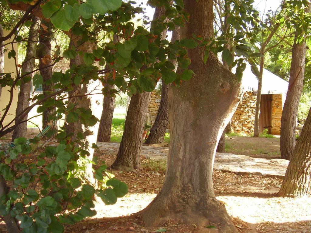 Agriturismo Cuile De Molino Porto Torres Exterior foto