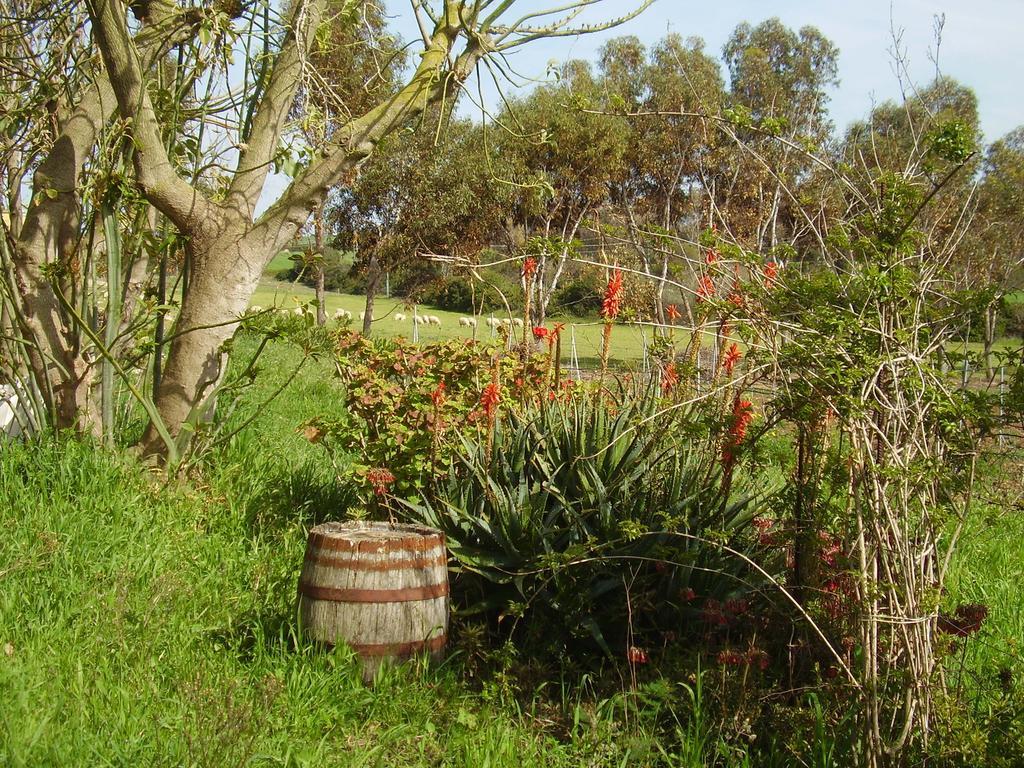 Agriturismo Cuile De Molino Porto Torres Exterior foto